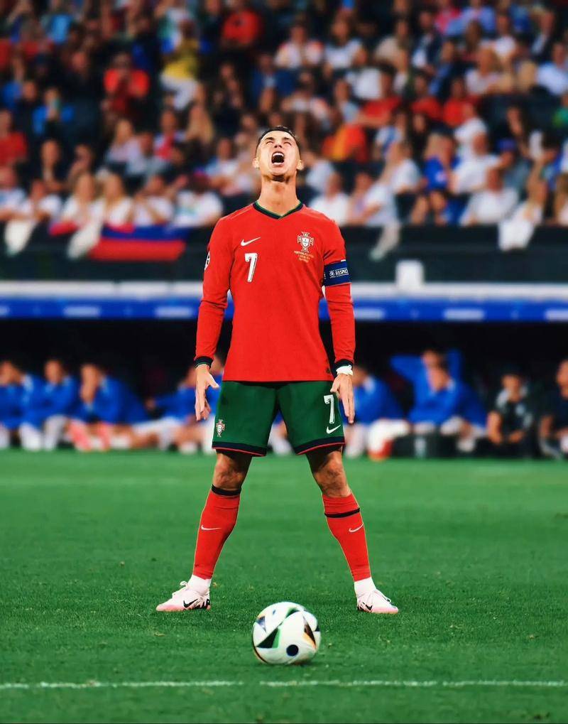 而是基于真 而是基于真