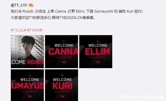 德甲第12 德甲第12